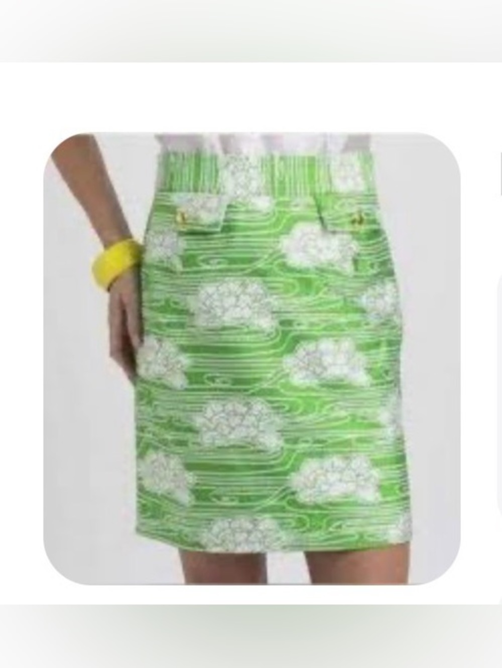 Elizabeth McKay Green and White Floral Skirt